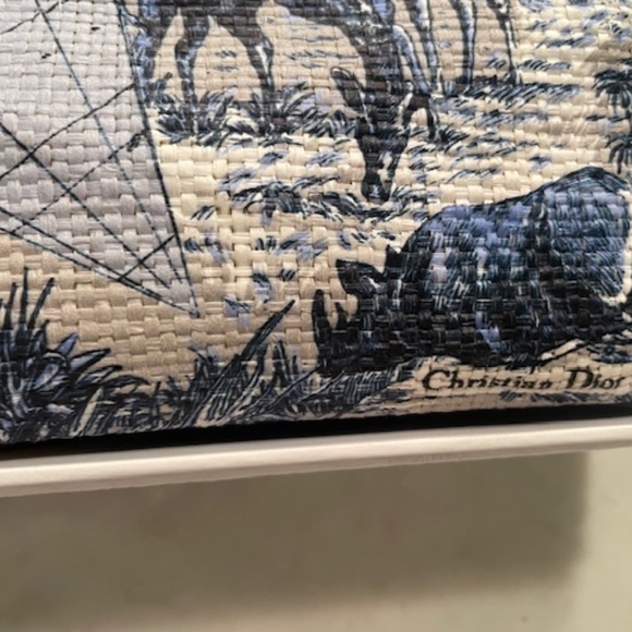 Dior Travel Around The World Tote - Picture 3 of 6